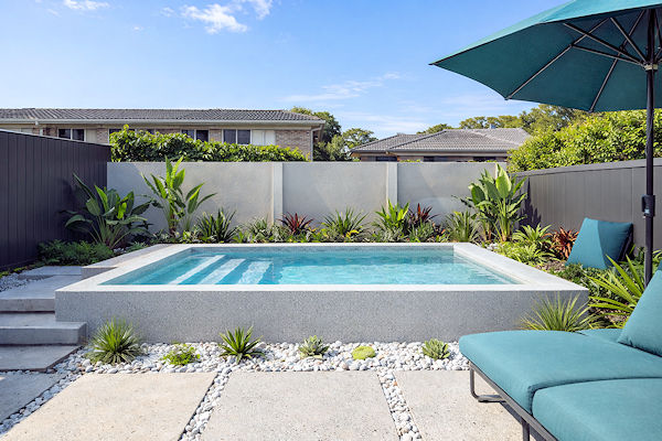 Pool cleaning and chlorinators